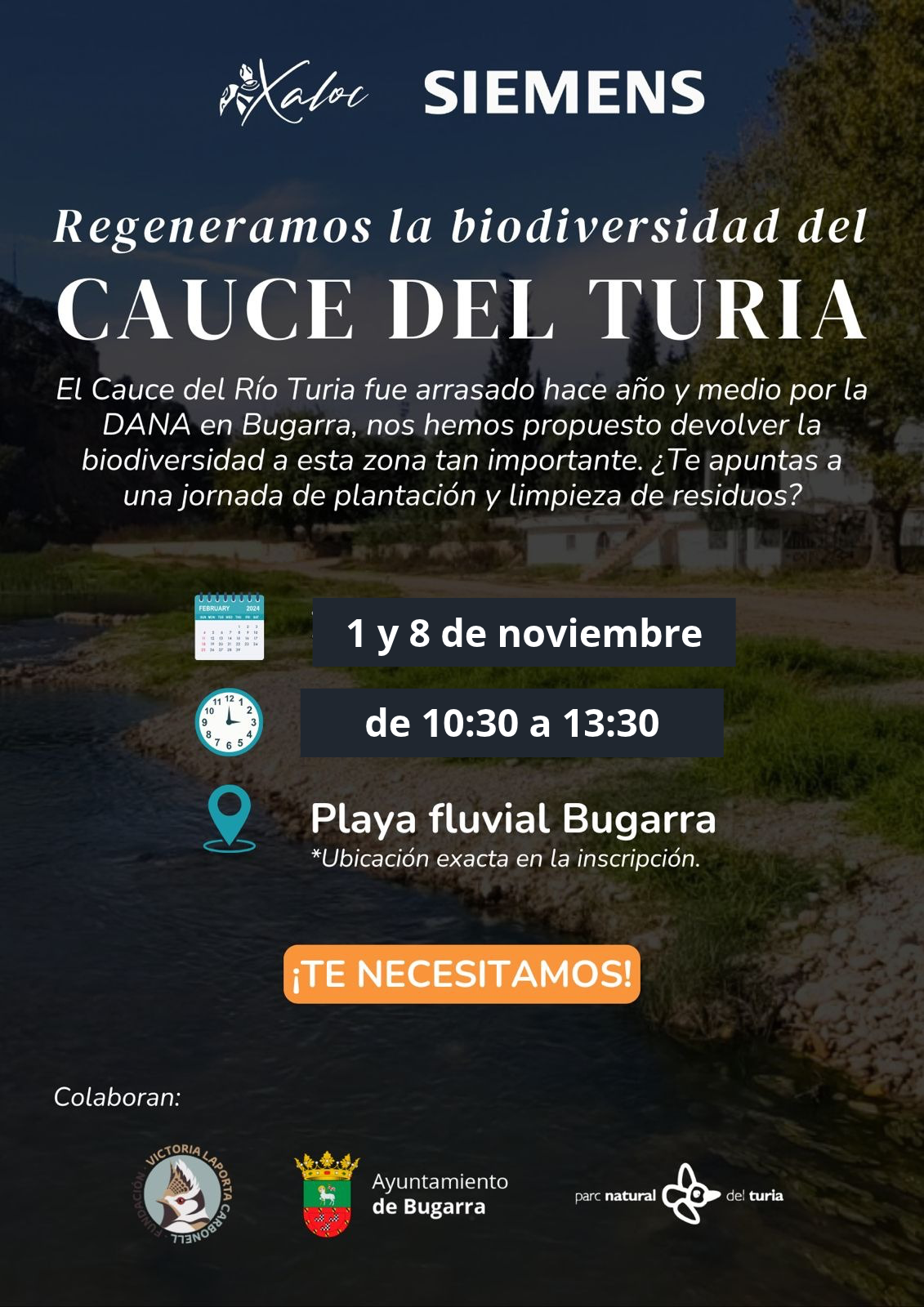 Voluntariado de Renaturalización en Bugarra - Noviembre 2026