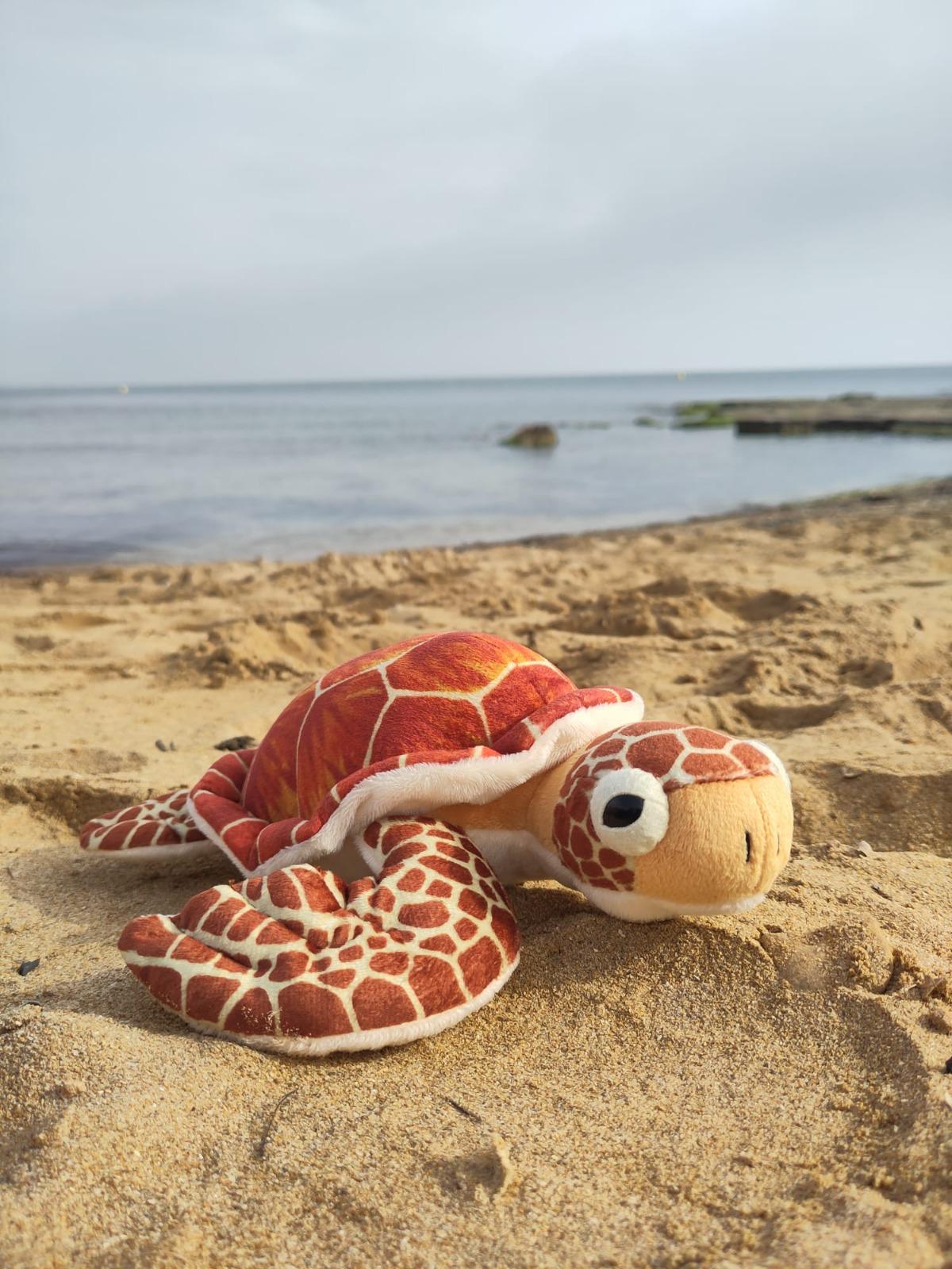 Peluche tortuga solidario