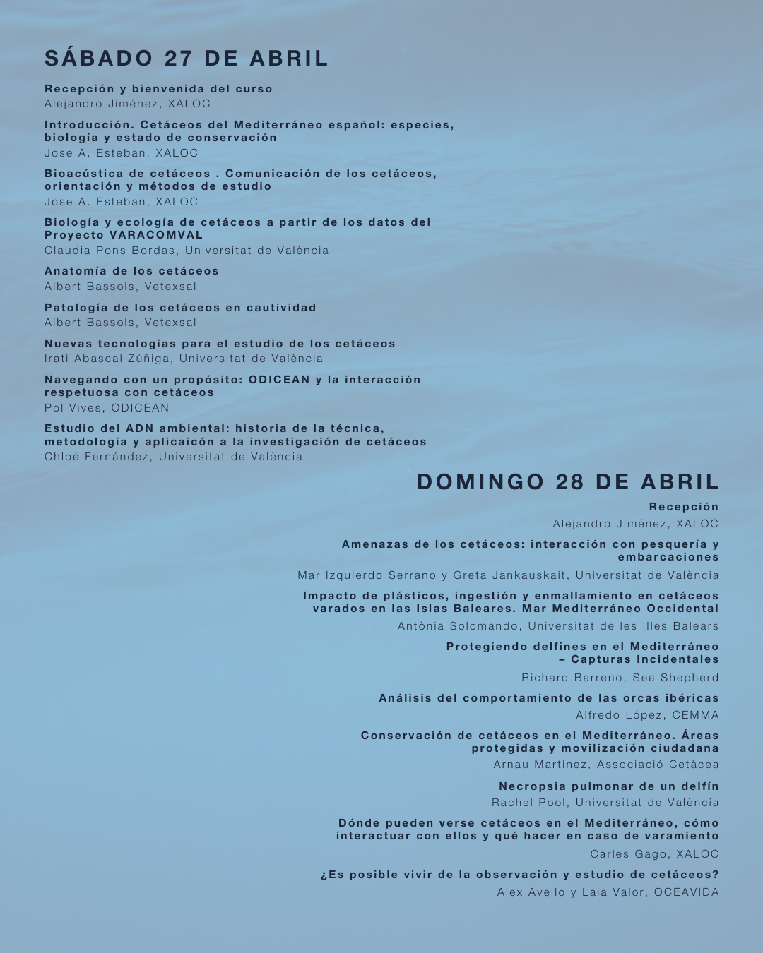 Curso Online: Biología y Conservación de Cetáceos del Mediterráneo