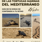 Curso Online: Biología y Conservación de las tortugas marinas del Mediterráneo