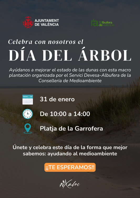 Plantación  (La Devesa de el Saler) - 31/01/26