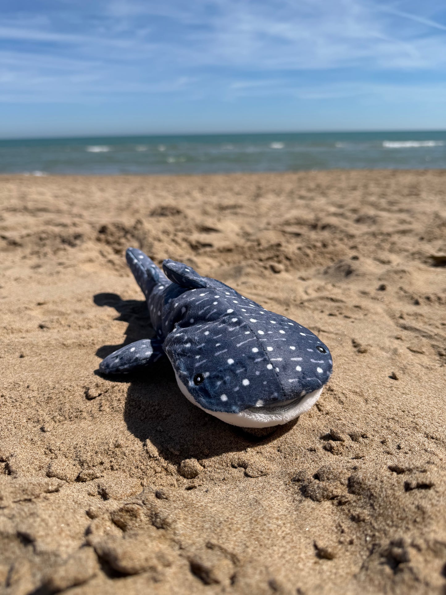Peluche Tiburón Ballena Solidario