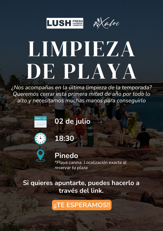 Limpieza Selectiva en Valencia - 02/07/26